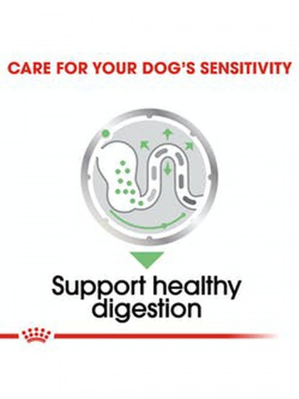 CCN DIGESTIVE CARE 12X85G_web4